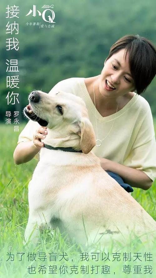 中佛罗里达大学文凭办理